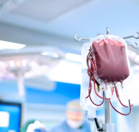 Blood Camp 3 Blood Camp 3